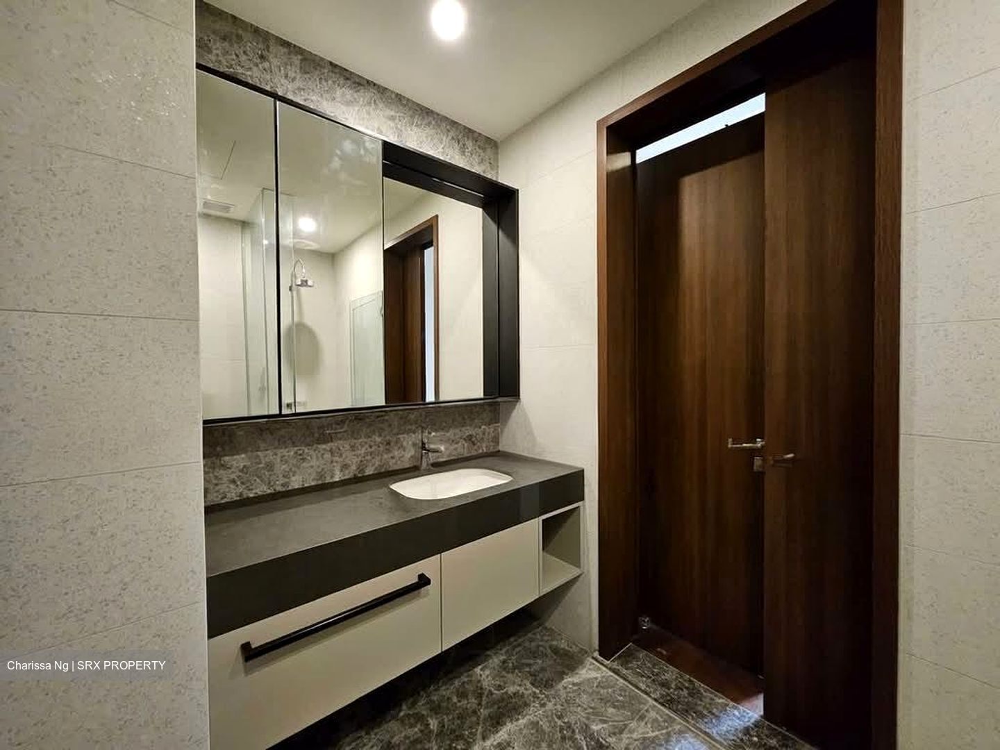 Parksuites (D10), Apartment #569428341